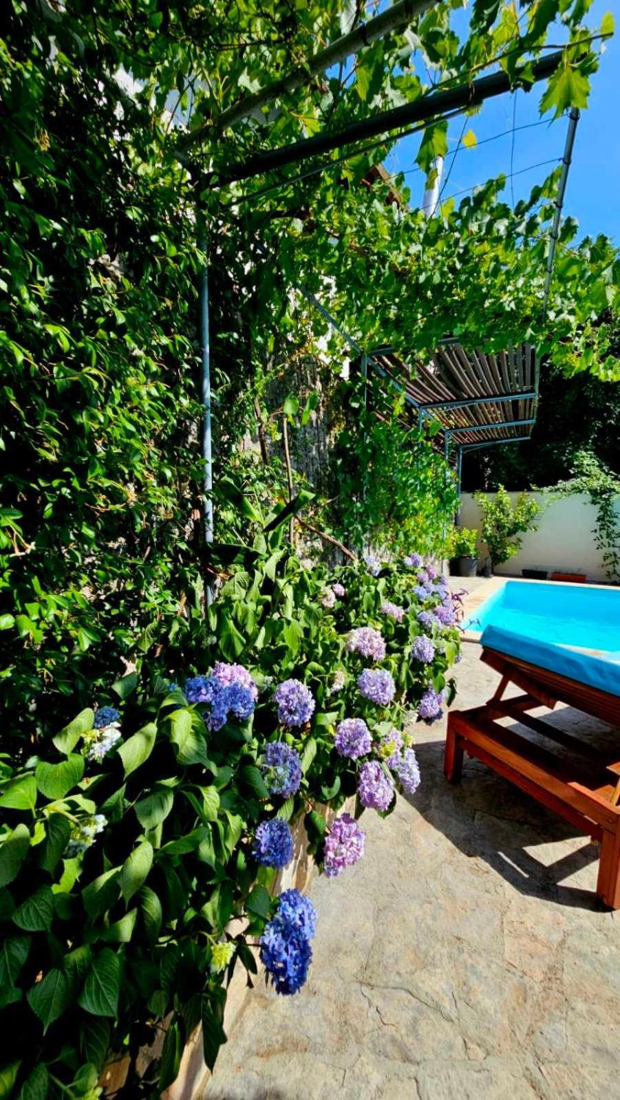 Lovely House With Swimming Pool Mostar Kültér fotó
